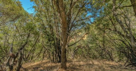 Lauren Ln, Jackson, CA 95642 Photo