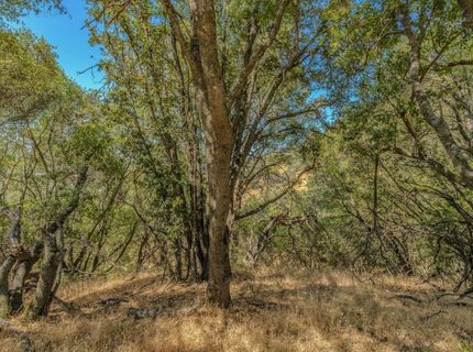 Lauren Ln, Jackson, CA 95642 Photo