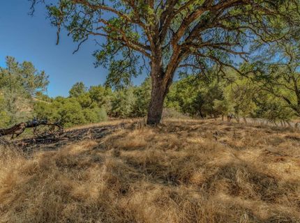 Lauren Ln, Jackson, CA 95642 Photo