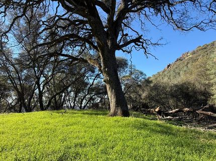 Lauren Ln, Jackson, CA 95642 Photo