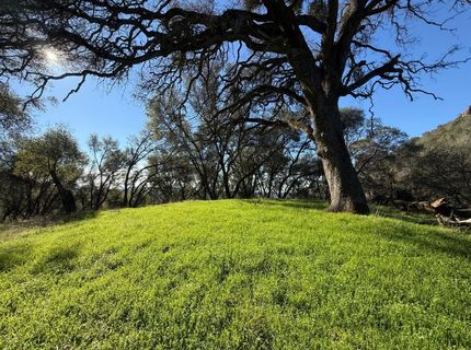 Lauren Ln, Jackson, CA 95642 Photo