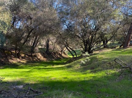 Lauren Ln, Jackson, CA 95642 Photo