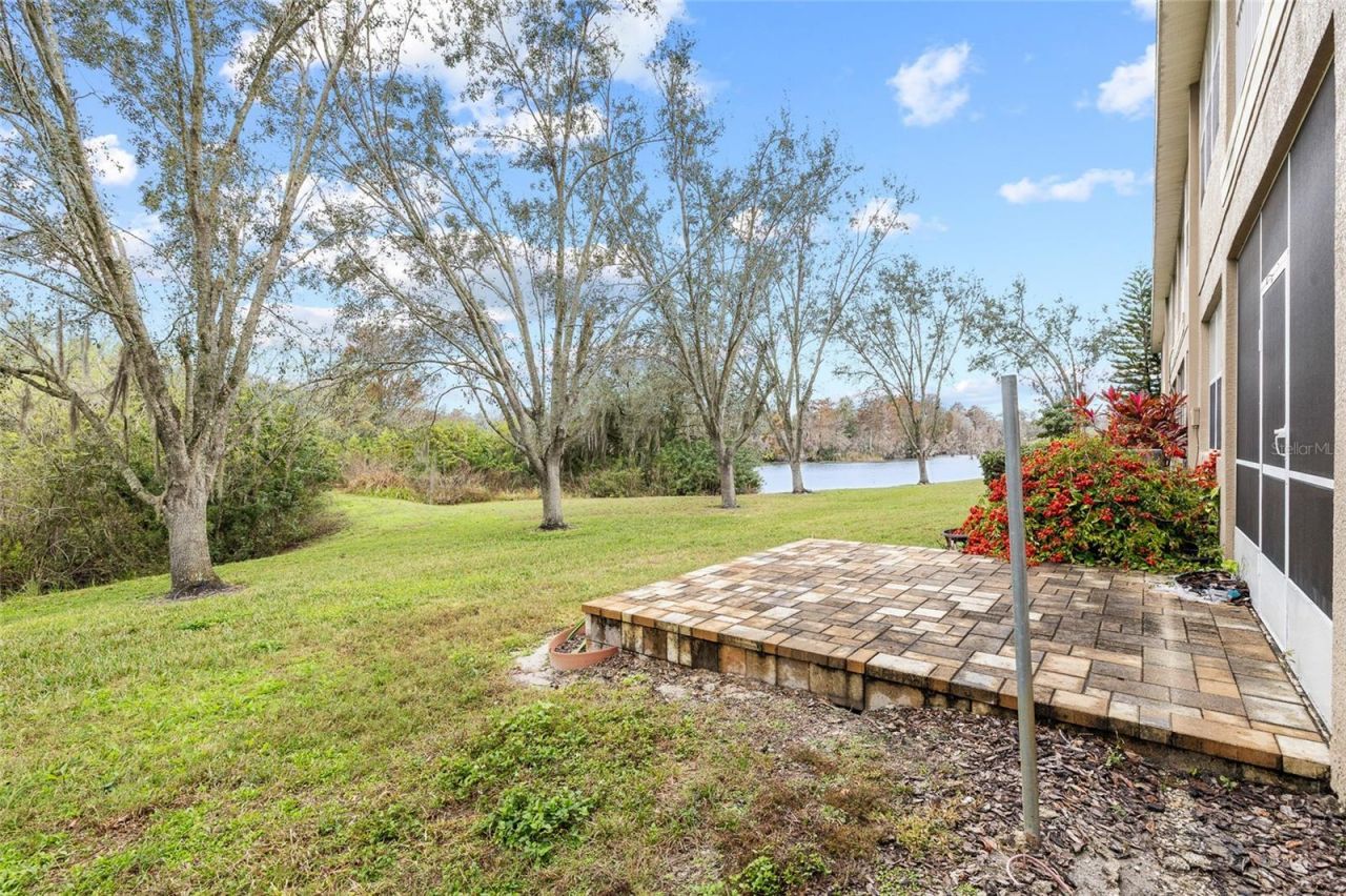 7467 Terrace River Drive, Temple Terrace, FL 33637 Photo