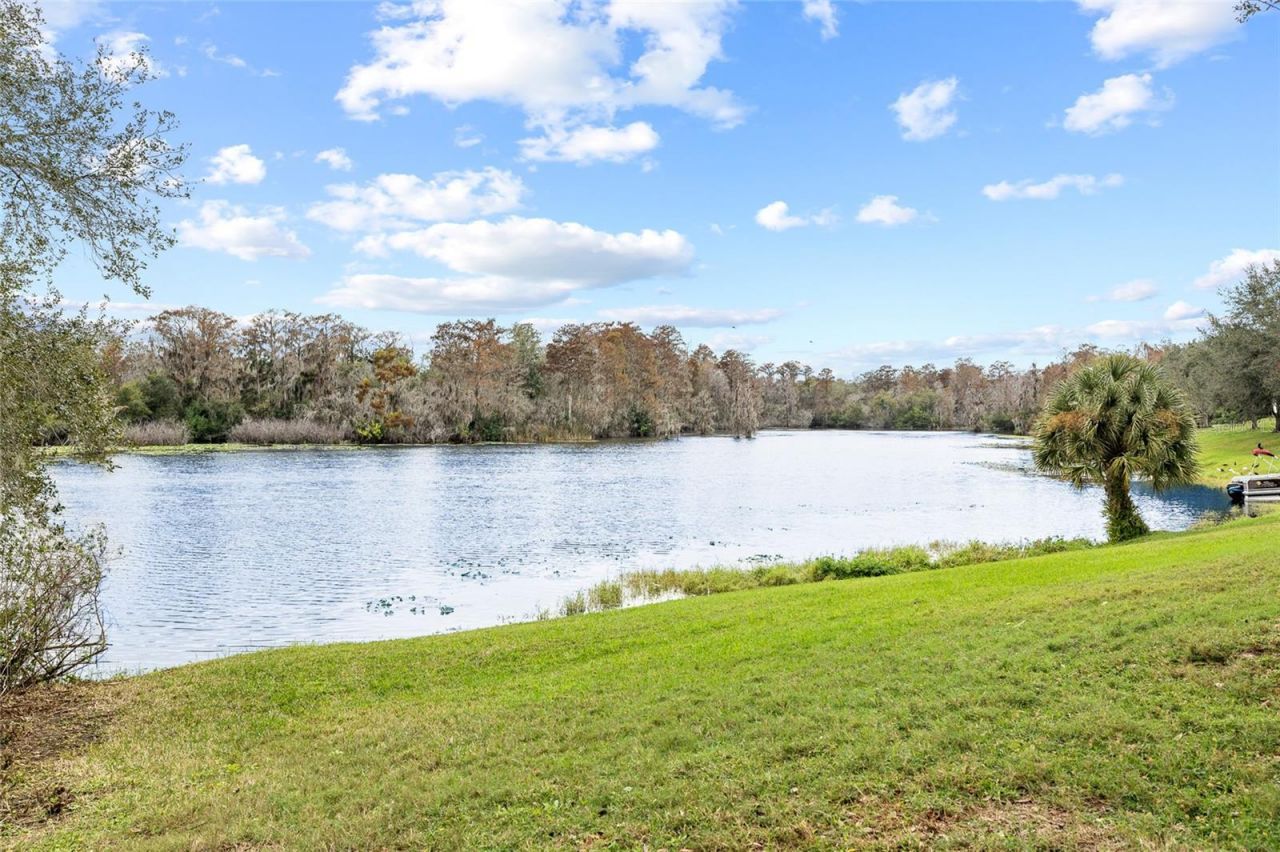 7467 Terrace River Drive, Temple Terrace, FL 33637 Photo