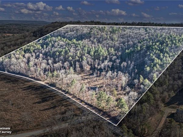34 acres off SR 164 W, Dover, AR 72837