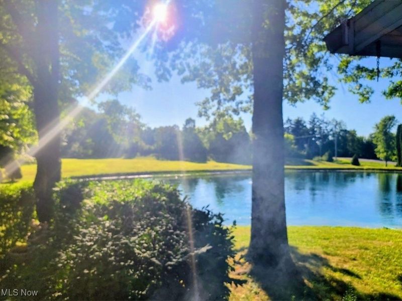 2470 Stiegler Road, Valley City, OH 44280 Photo 50