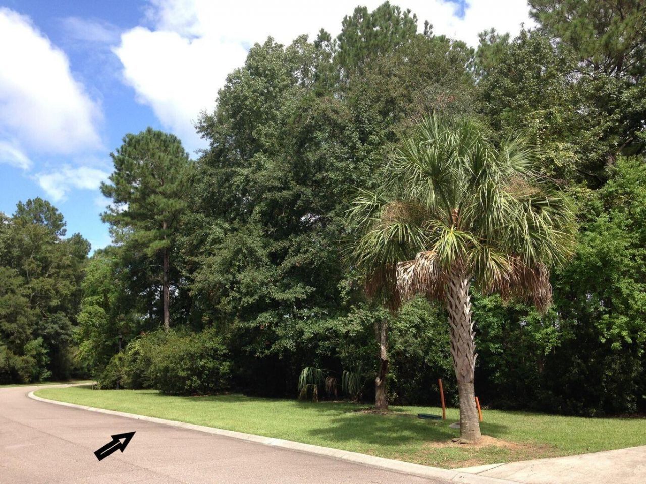 1044 Bradbury Lane Photo 12