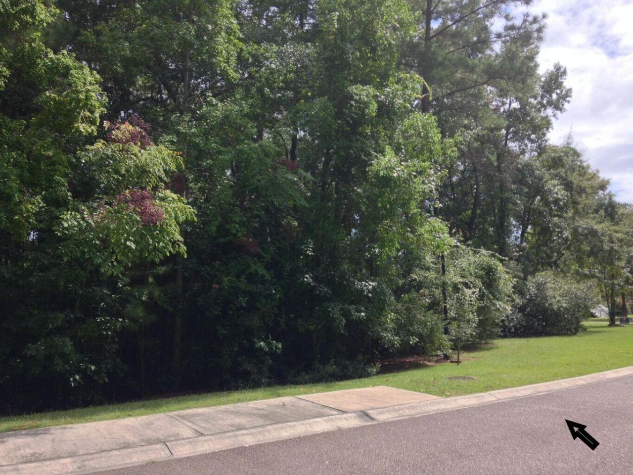 1044 Bradbury Lane Photo 13