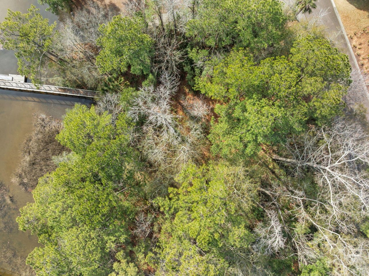 1044 Bradbury Lane Photo 33