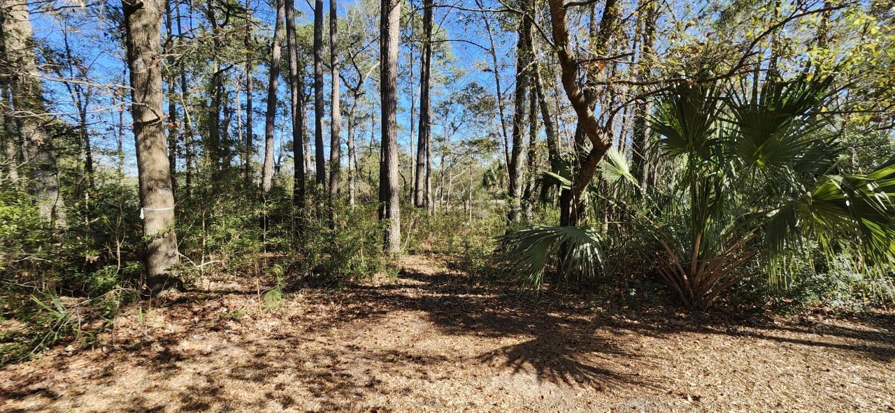 1044 Bradbury Lane Photo 34