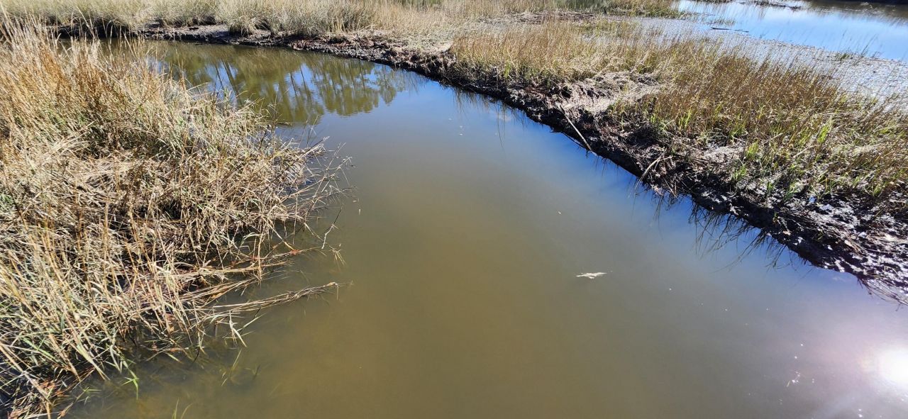 1044 Bradbury Lane Photo 39