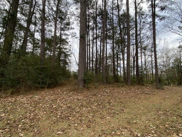 TBD La Hwy 1043, Greensburg, LA 70441