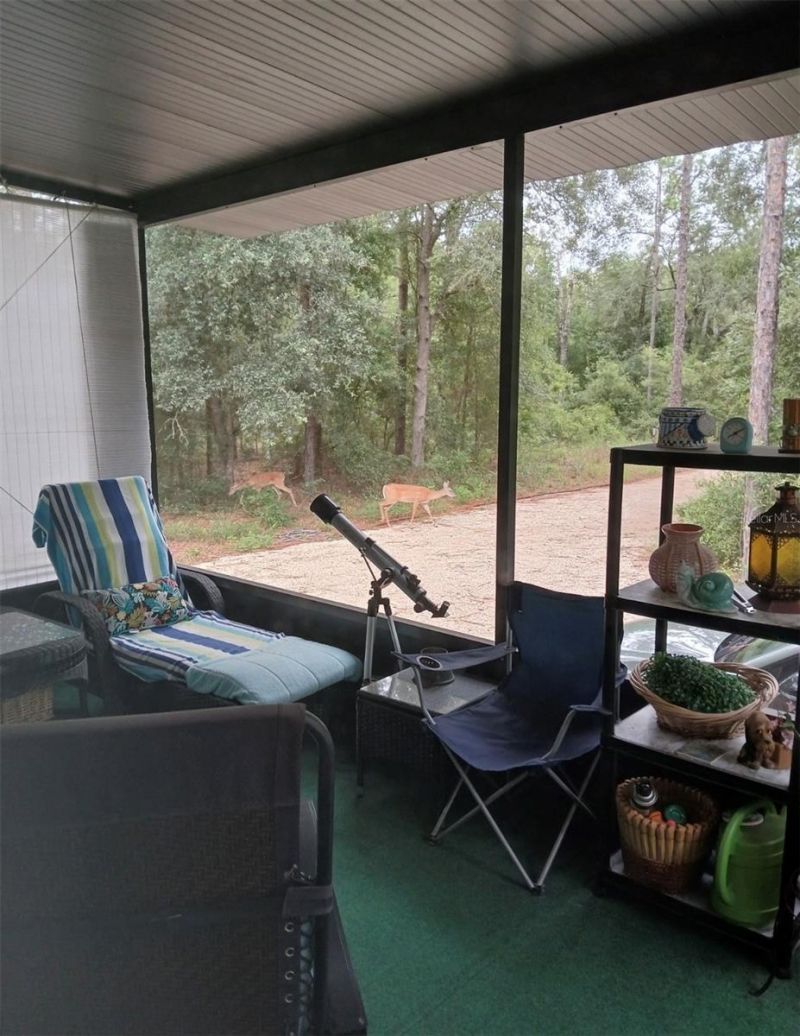 5829 NW 11th Avenue, Bell, FL 32619 Photo