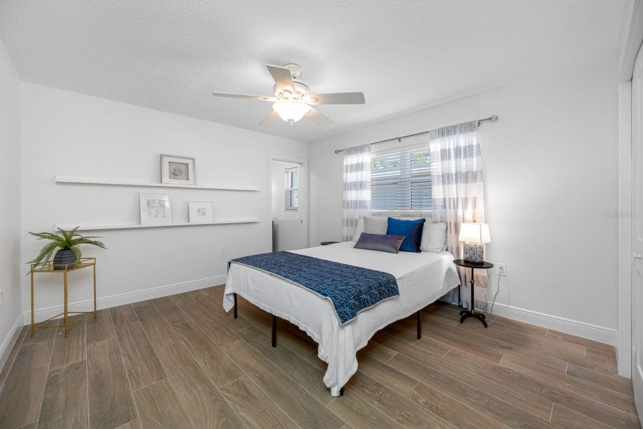 539 Baywood Drive S, Dunedin, FL 34698 Photo