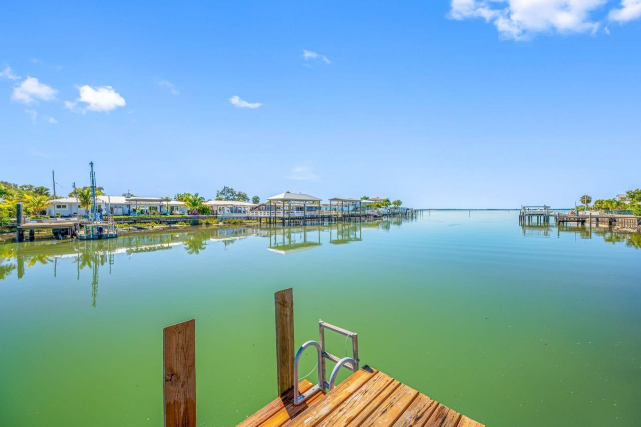 539 Baywood Drive S, Dunedin, FL 34698 Photo