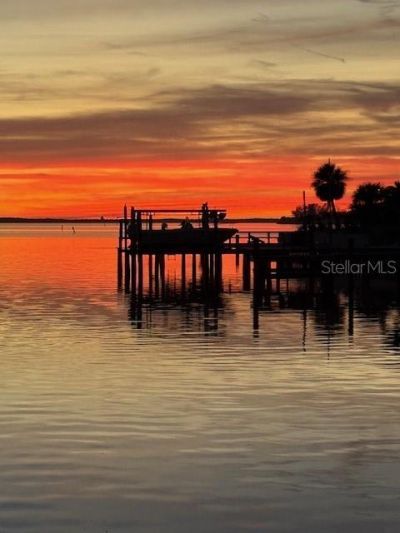 539 Baywood Drive S, Dunedin, FL 34698 Photo