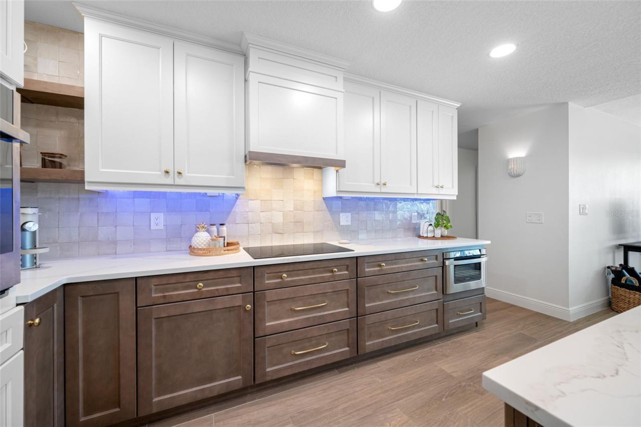 539 Baywood Drive S, Dunedin, FL 34698 Photo