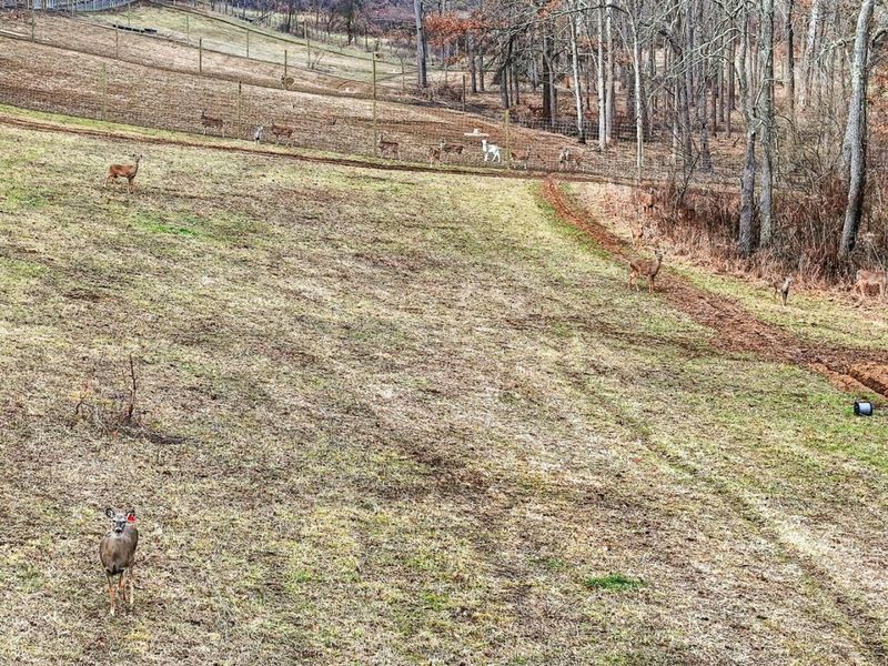 6529 Fallsburg Road NE, Newark, OH 43055 Photo 44