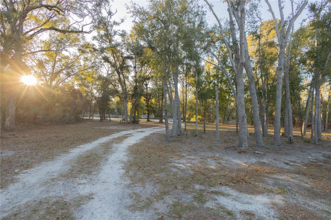 396 NE Beverly Hills Drive, Mayo, FL 32066 Photo