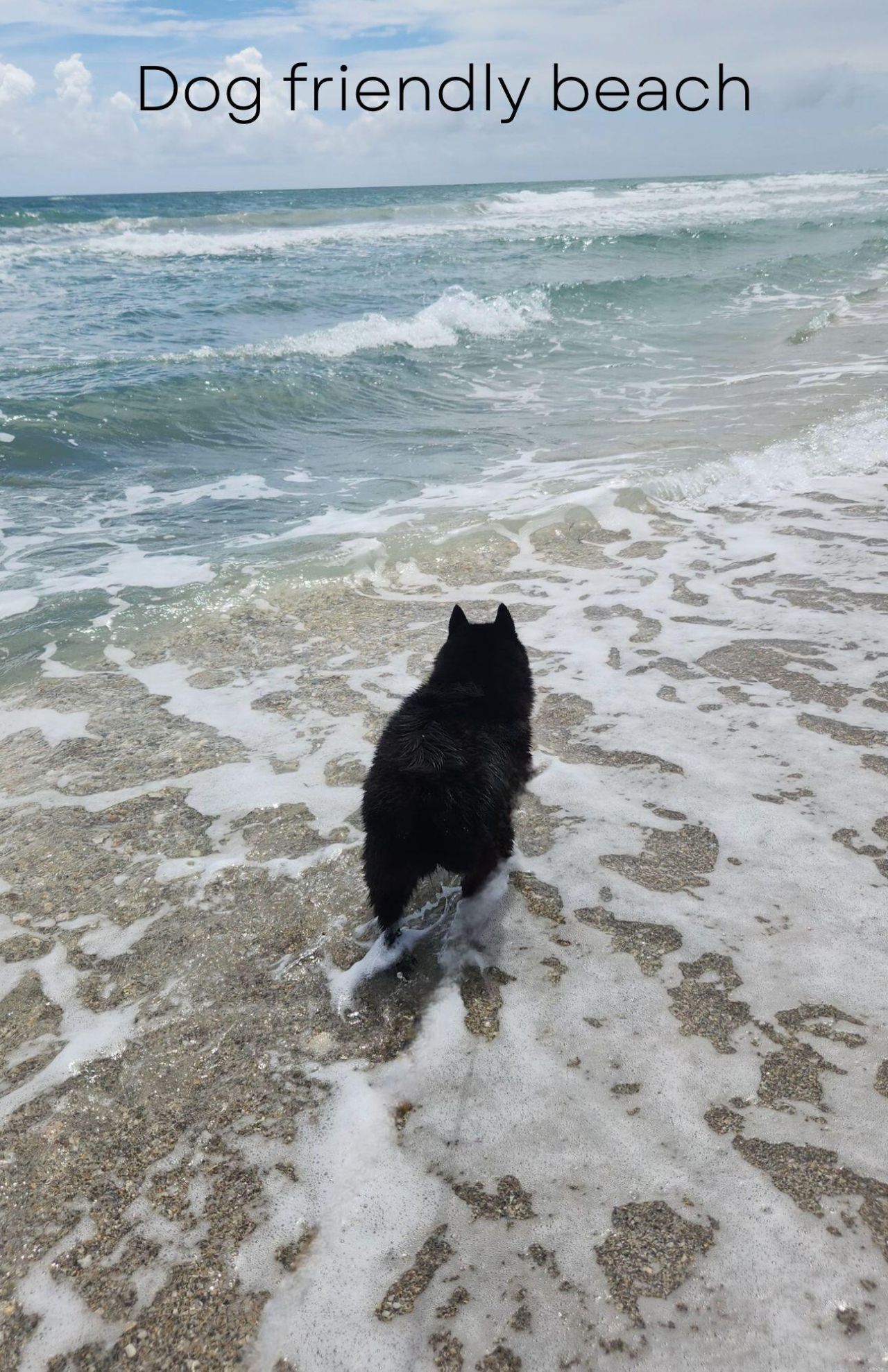 115 Olympus Way, Jupiter, FL 33477 Photo