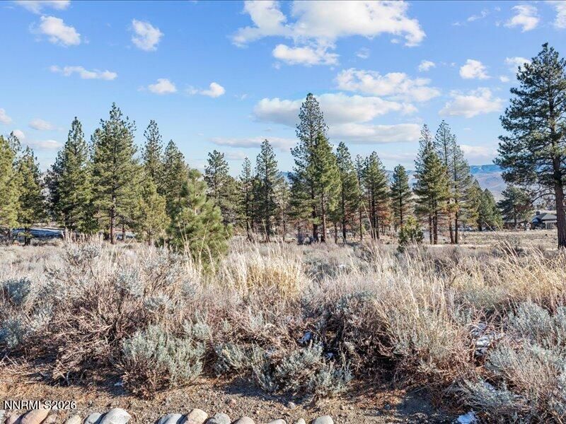 154 Antigua Court, Reno, NV 89511 Photo