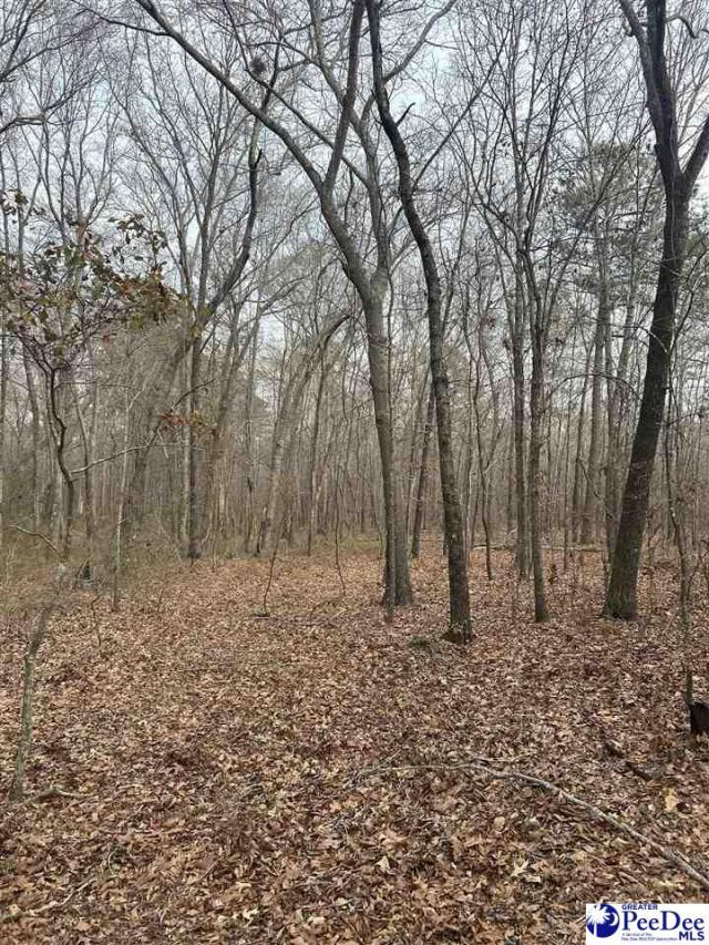 Tbd Red Hill Rd Photo 10