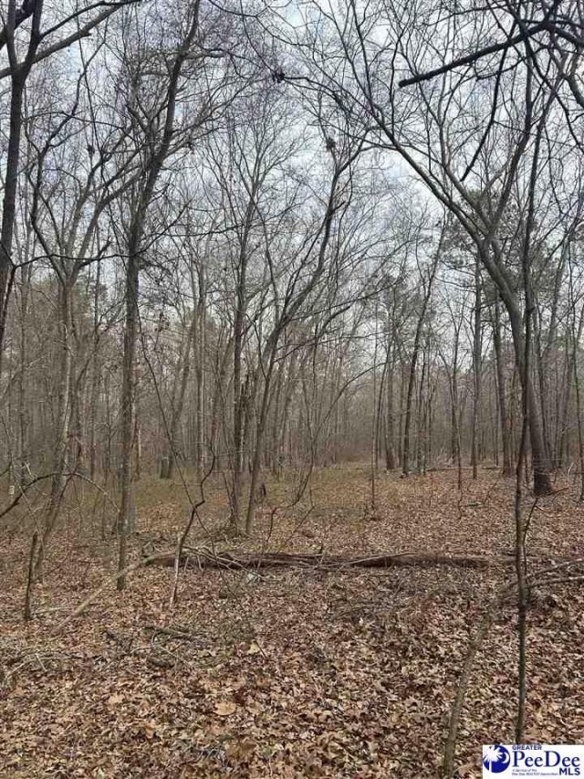 Tbd Red Hill Rd Photo 11