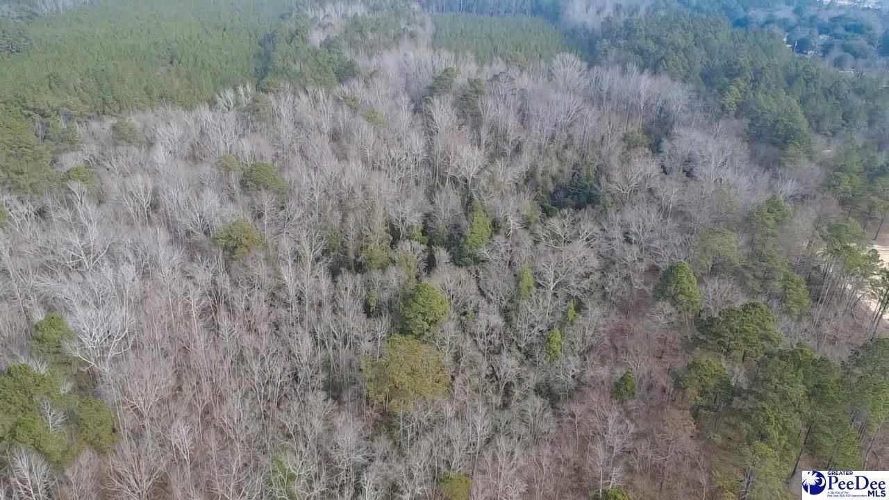 Tbd Red Hill Rd Photo 12