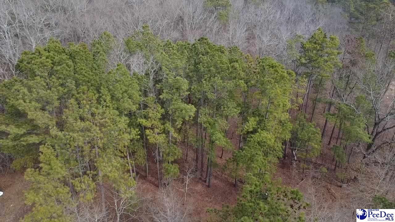 Tbd Red Hill Rd Photo 13