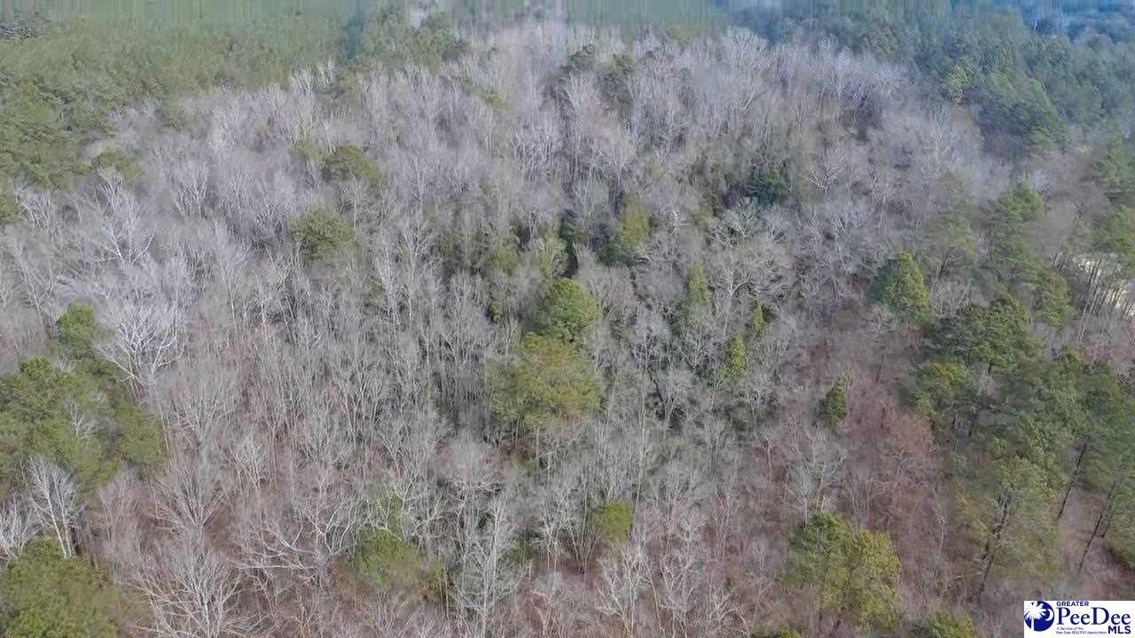 Tbd Red Hill Rd Photo 14