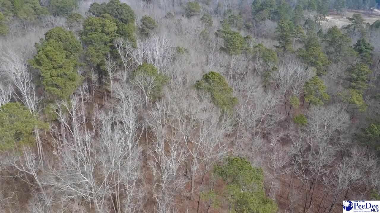 Tbd Red Hill Rd Photo 5