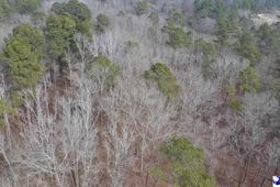 Tbd Red Hill Rd photo 4