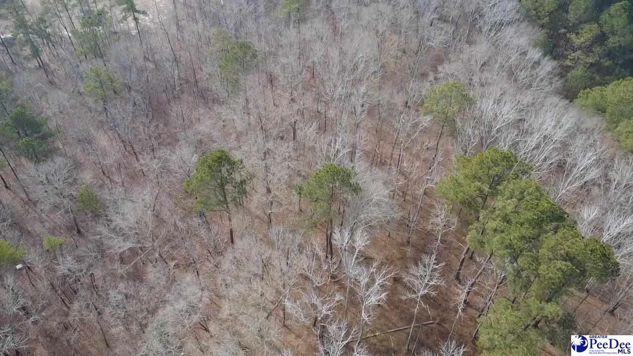 Tbd Red Hill Rd Photo 6