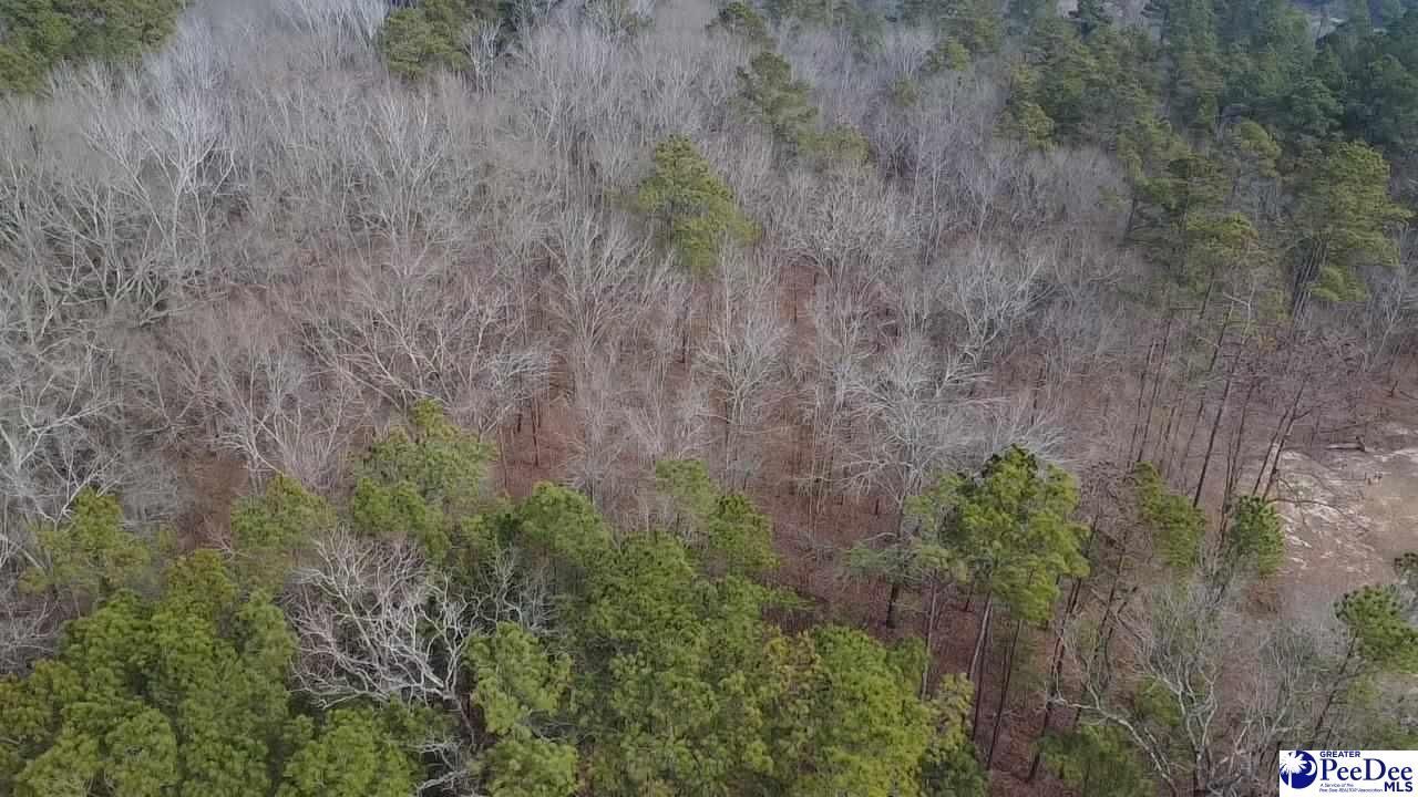 Tbd Red Hill Rd Photo 7