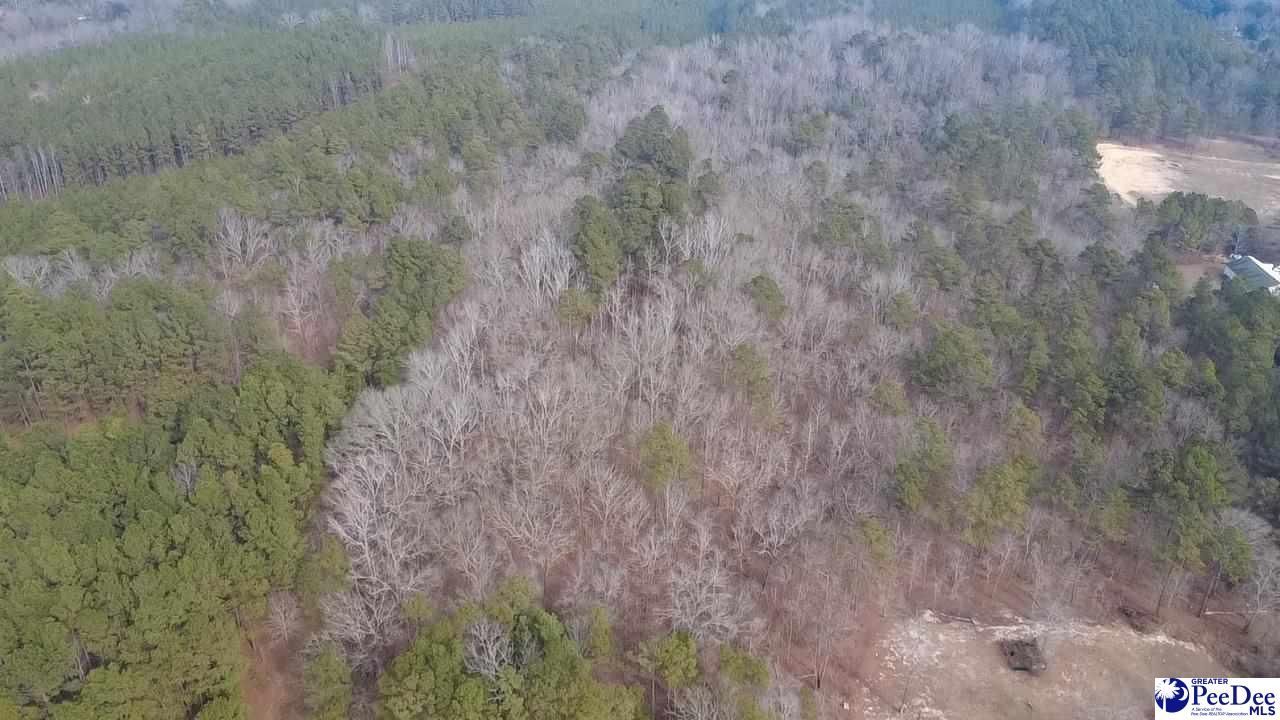 Tbd Red Hill Rd Photo 8