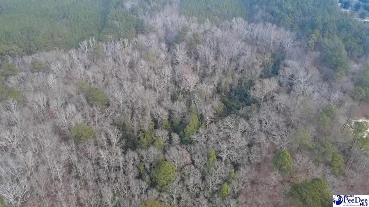 Tbd Red Hill Rd Photo 9