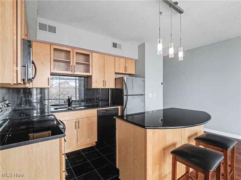 1237 Washington Avenue, Unit 410, Cleveland, OH 44113 Photo 20