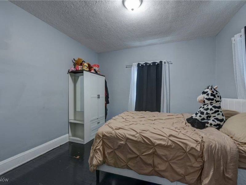 13105 Carrington Avenue, Cleveland, OH 44135 Photo 14