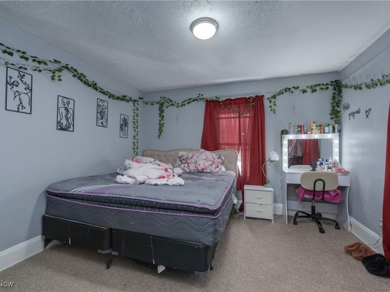 13105 Carrington Avenue, Cleveland, OH 44135 Photo 19