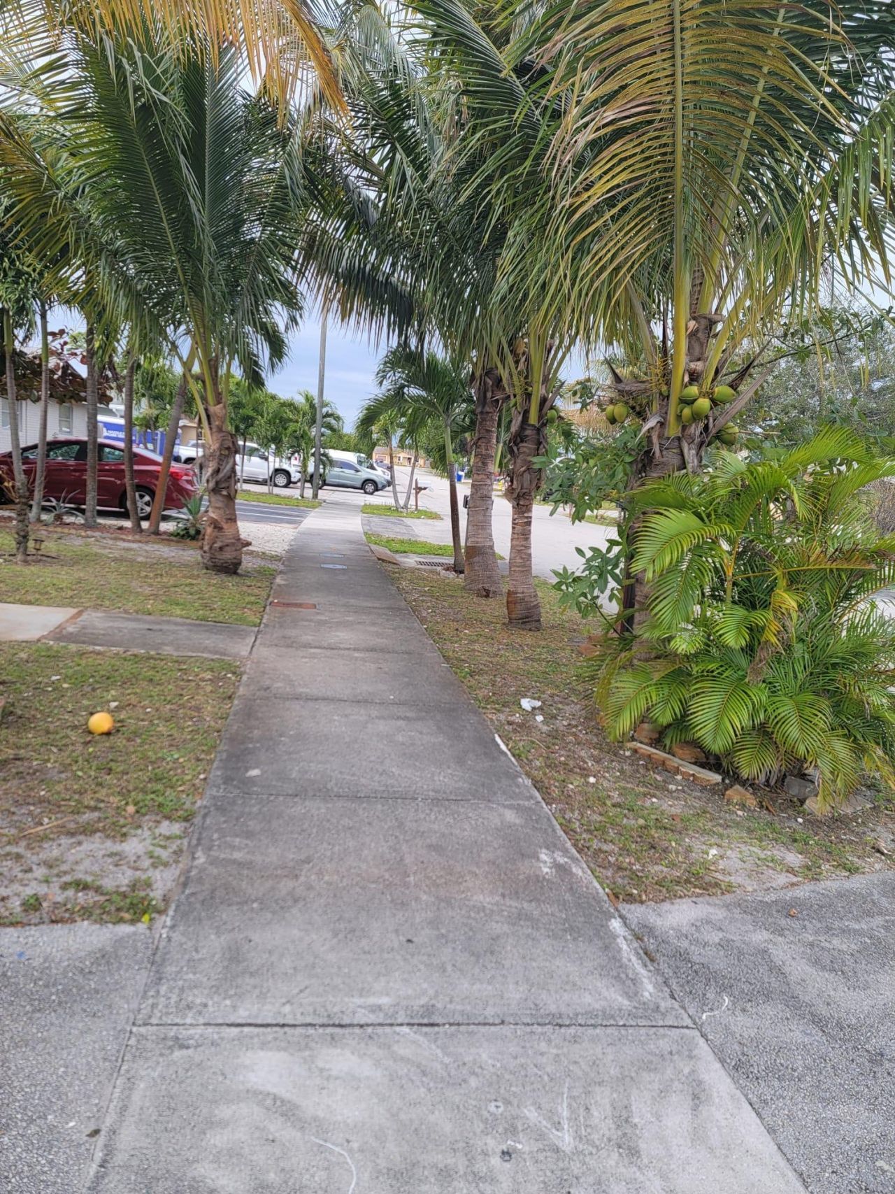 4108 SW 21st Street Street, Fort Lauderdale, FL 33317 Photo