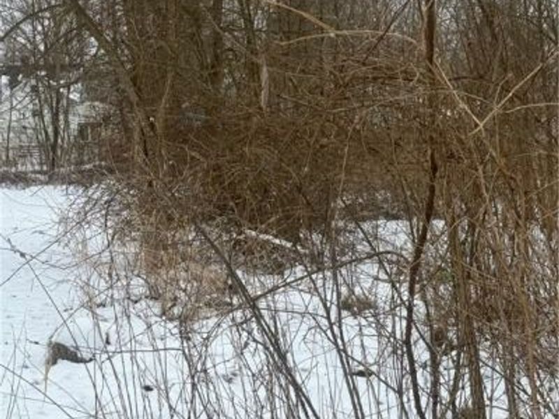 2668 Draper Avenue SE, Warren, OH 44484 Photo 1