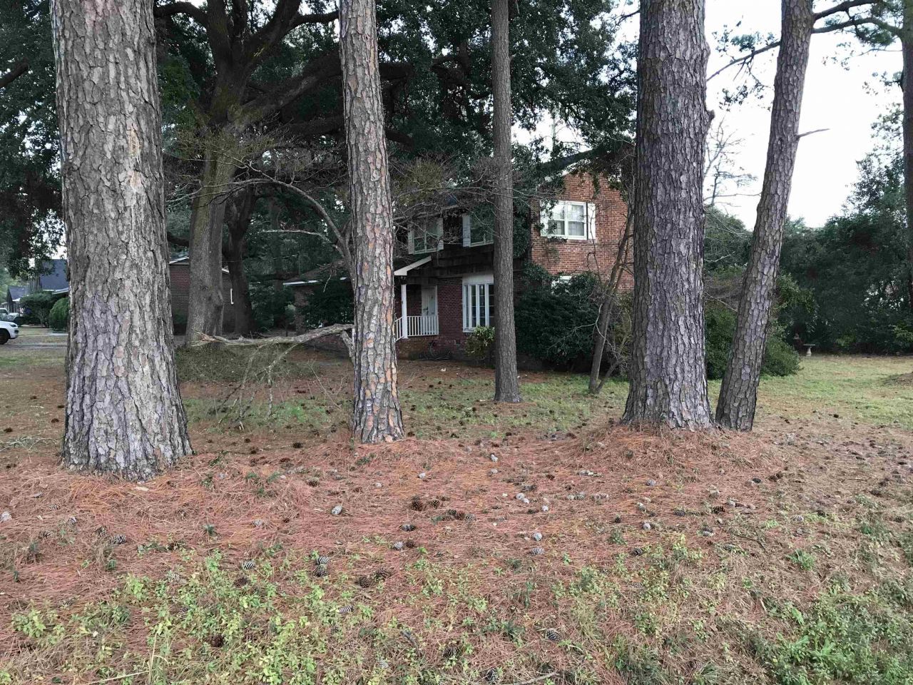 1201 Landgrave St. Photo 6