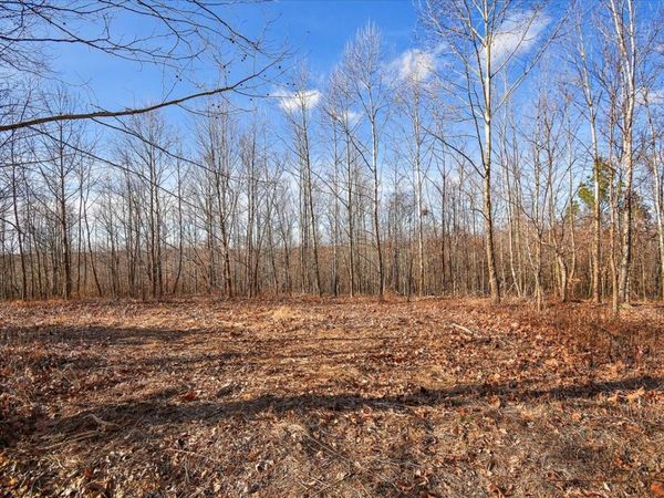 98 Saddleback Drive, Dover, TN 37058