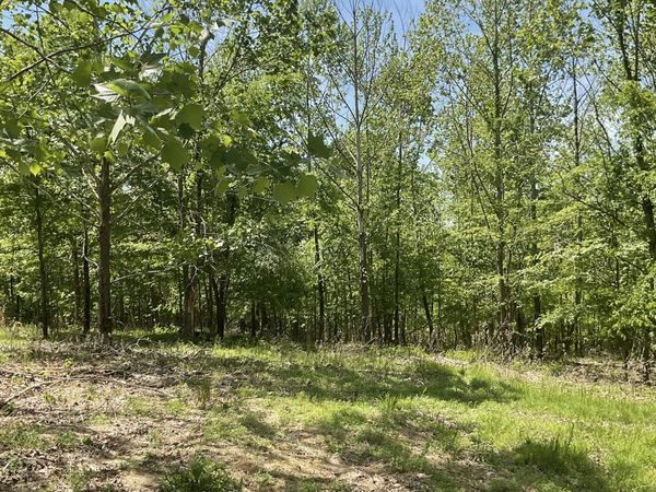 98 Saddleback Drive, Dover, TN 37058