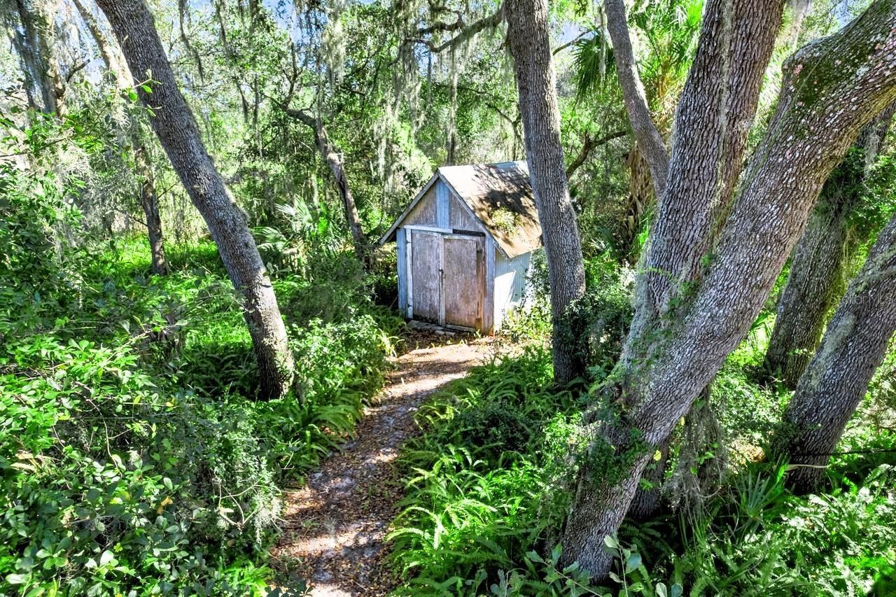 301 Shady Woods Road, Geneva, FL 32732 Photo