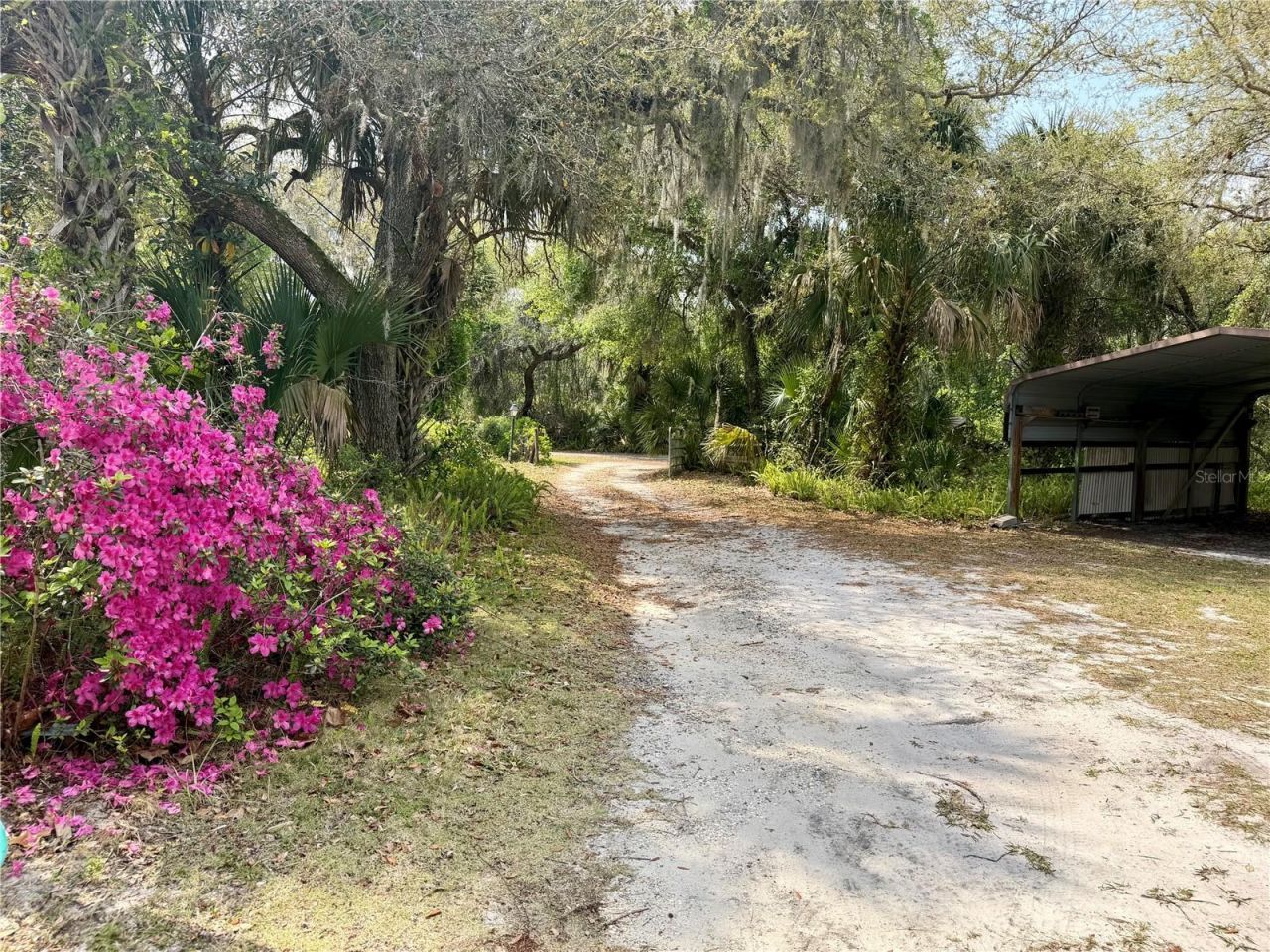 301 Shady Woods Road, Geneva, FL 32732 Photo