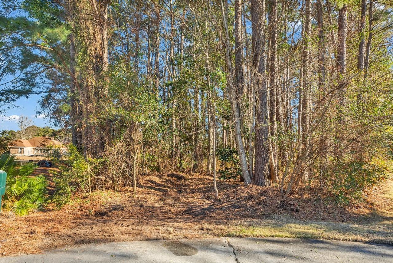 513 Reedy River Rd.  Photo 34