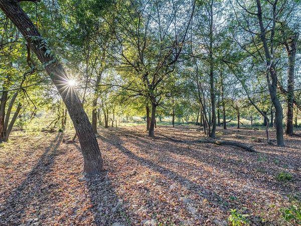 5081 154 Highway, Yantis, TX 75497