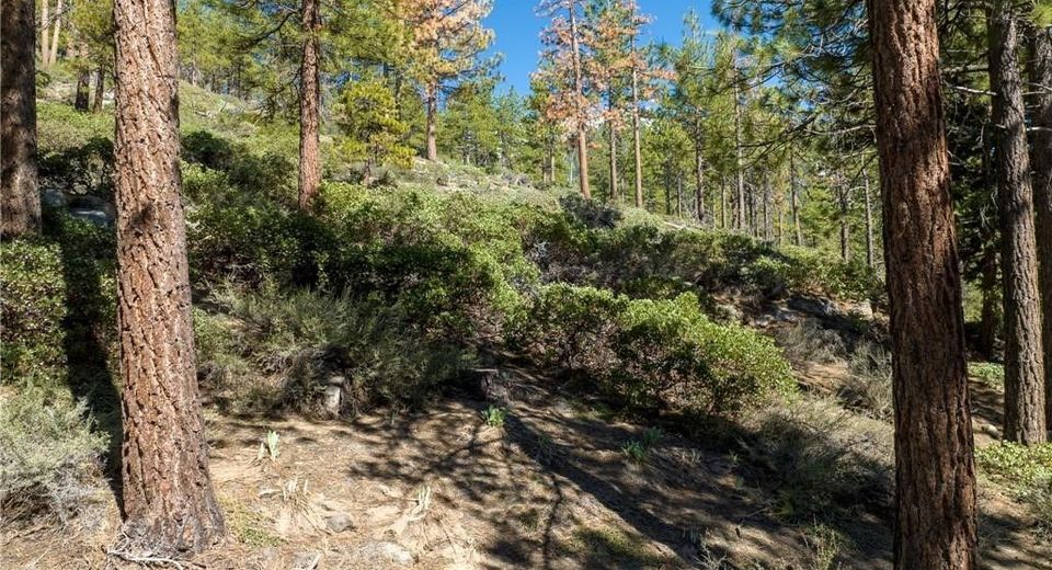 1065 Lucerne Way, Incline Village, NV 89451 Photo