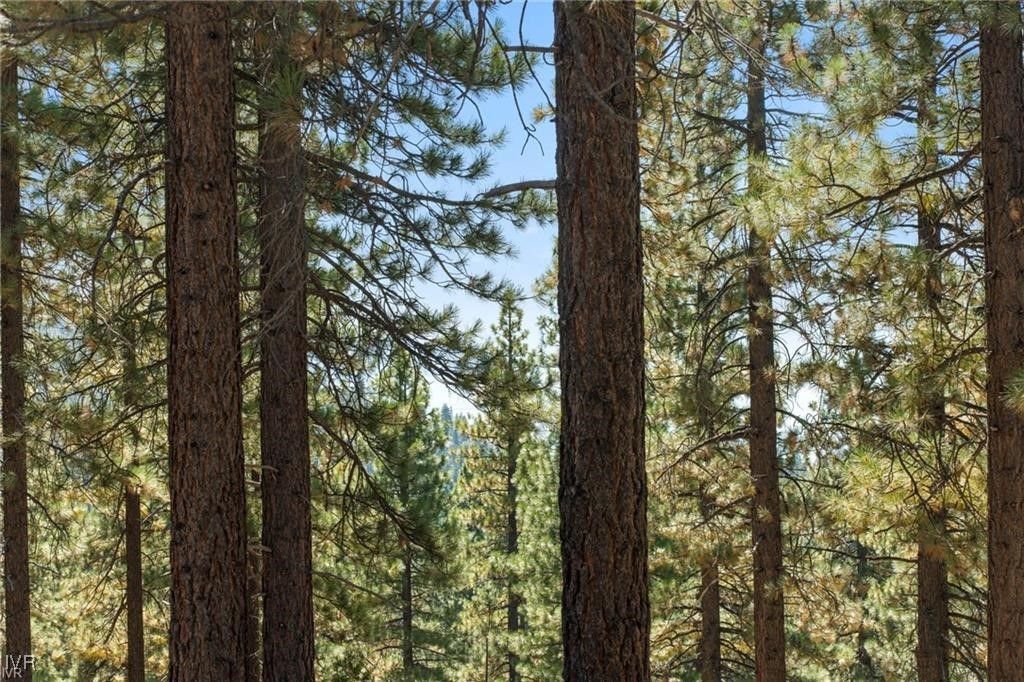 1065 Lucerne Way, Incline Village, NV 89451 Photo